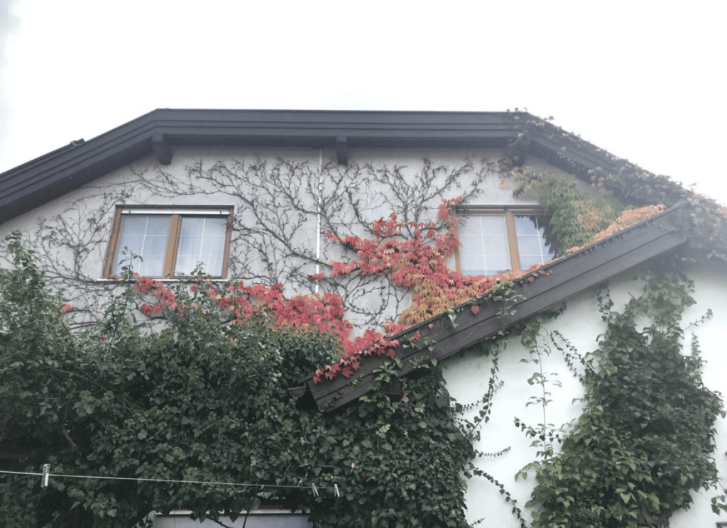 Fassadenanstrich in Mattersburg